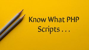 Want to Know What PHP Scripts Are? Know Everything About It