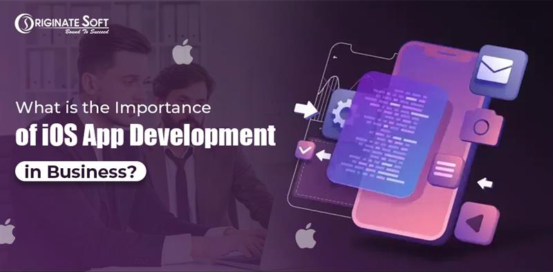 iOS App development in Businesses
